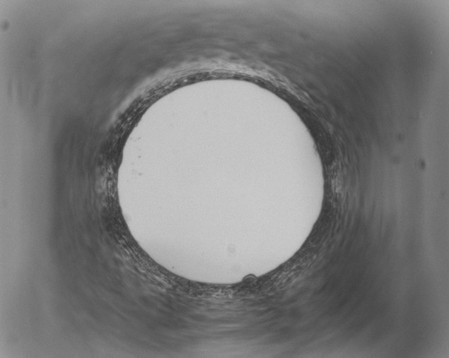 X0000053051495200508081115