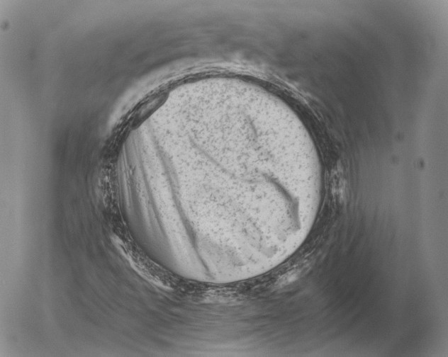 X0000053051496200508081115