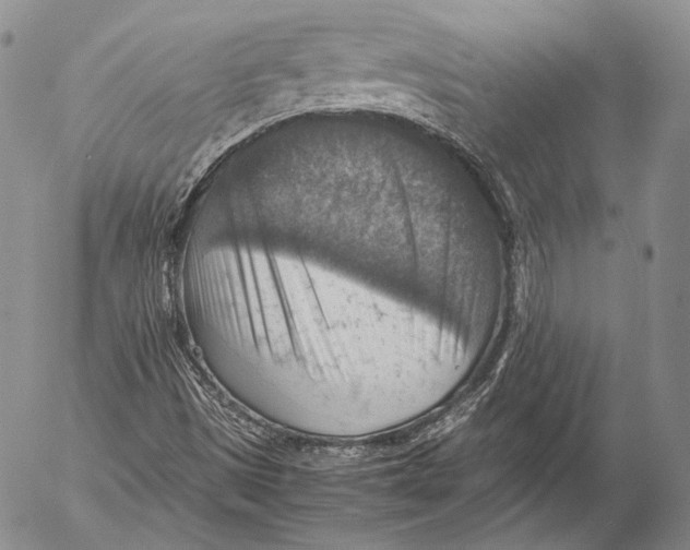 X0000053051497200508081115