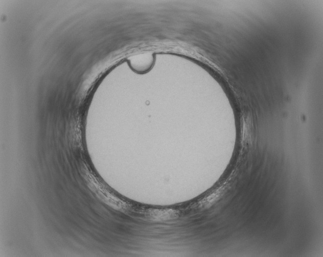 X0000053051498200508081115