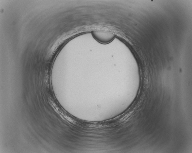 X0000053051499200508081115