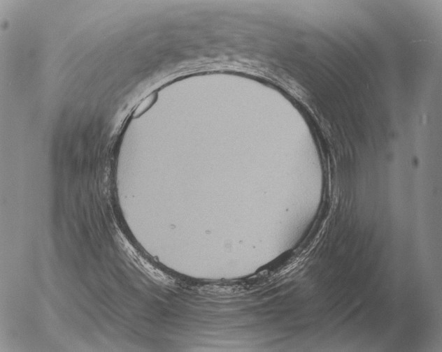 X0000053051500200508081115