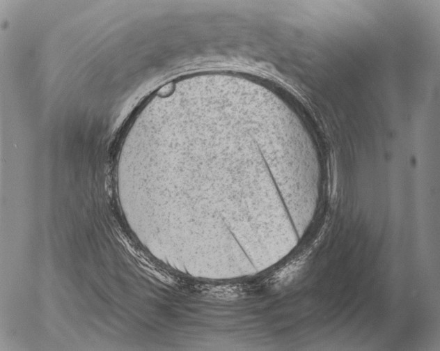 X0000053051501200508081115