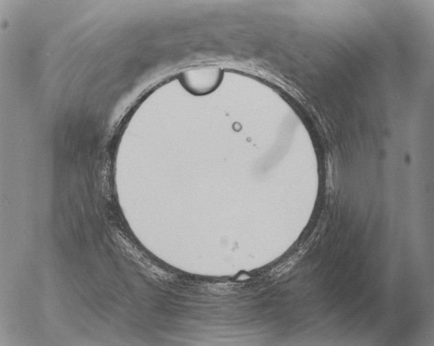 X0000053051502200508081115