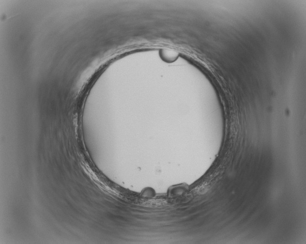 X0000053051503200508081115