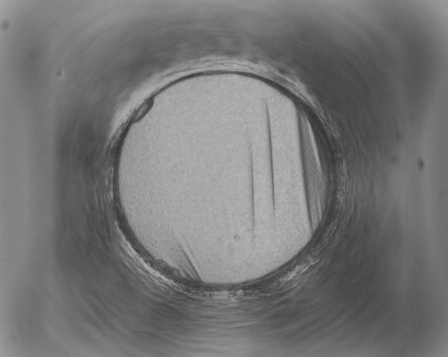 X0000053051504200508081115