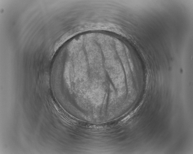 X0000053051505200508081115