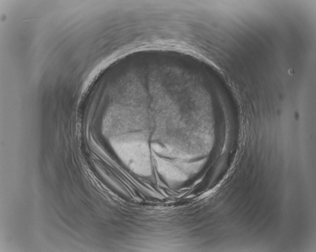 X0000053051506200508081115