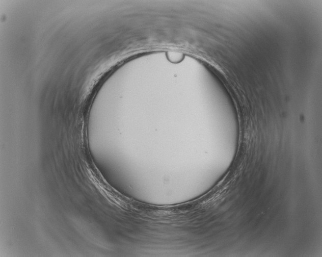 X0000053051507200508081115