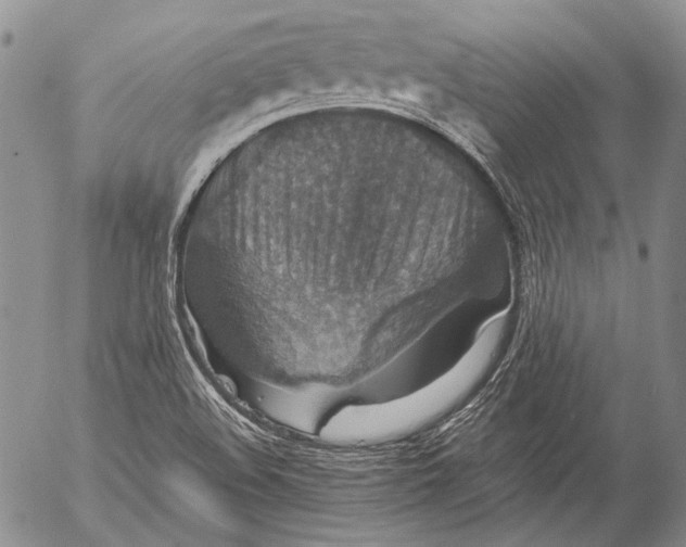 X0000053051508200508081115