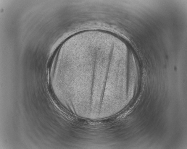 X0000053051509200508081115