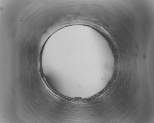 X0000053051512200508081115