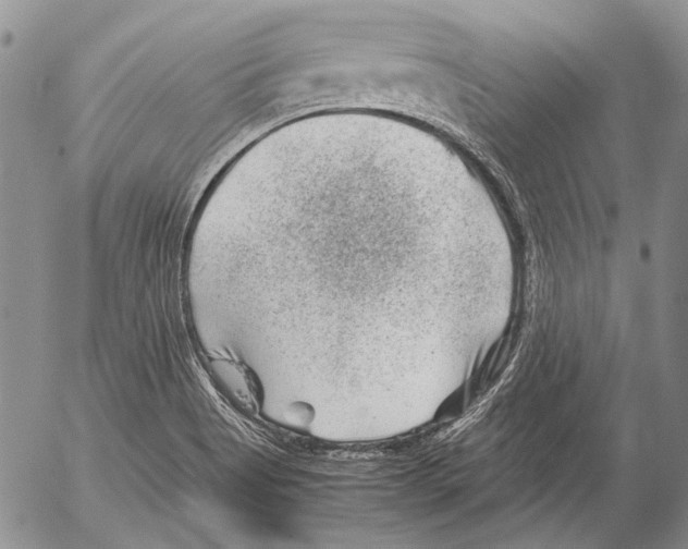 X0000053051513200508081115