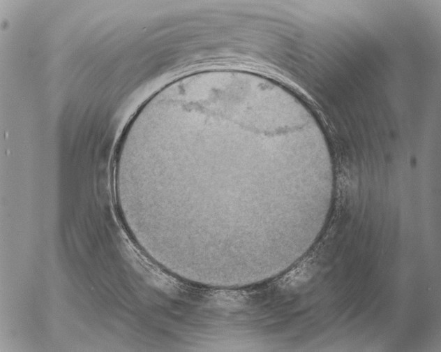 X0000053051514200508081115