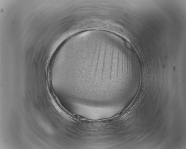 X0000053051515200508081115