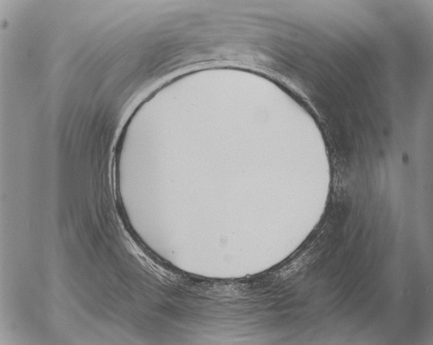 X0000053051516200508081115