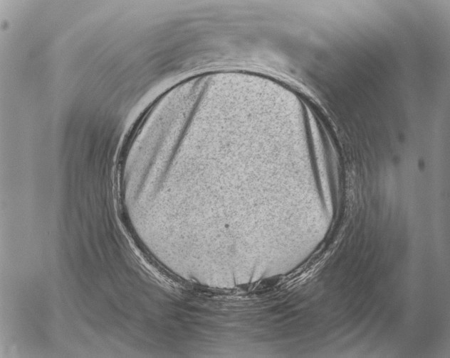 X0000053051517200508081115