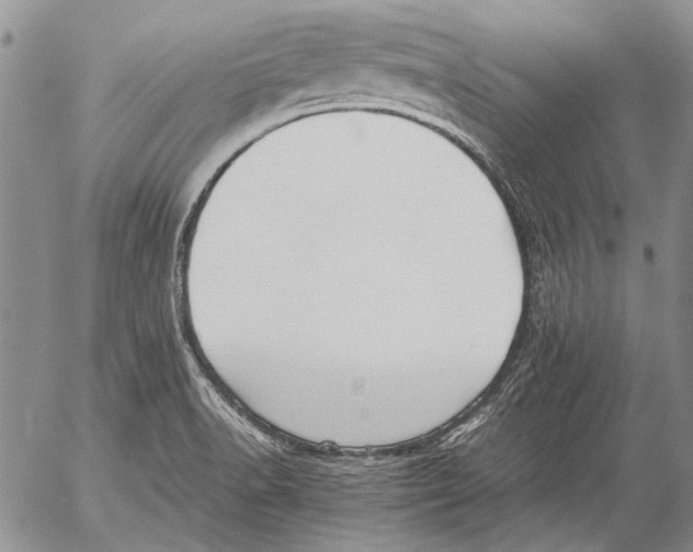 X0000053051518200508081115