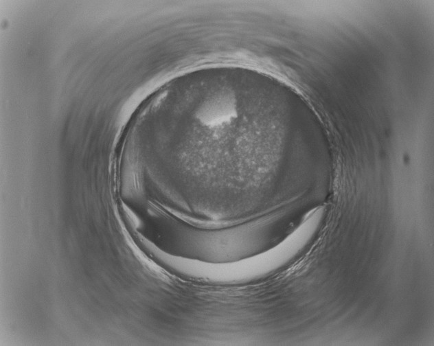 X0000053051519200508081115