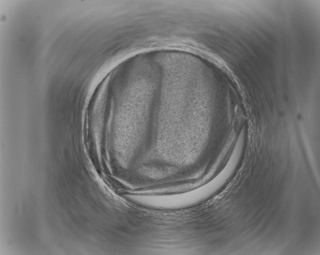 X0000053051520200508081115