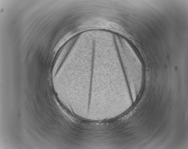 X0000053051521200508081115