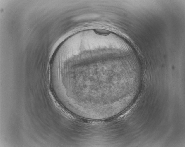 X0000053051522200508081115