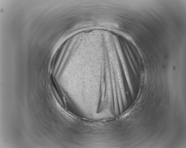 X0000053051524200508081115