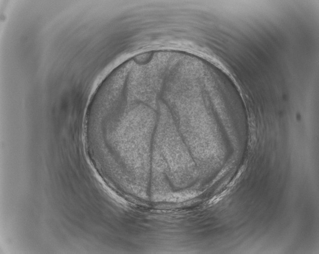 X0000053051525200508081115