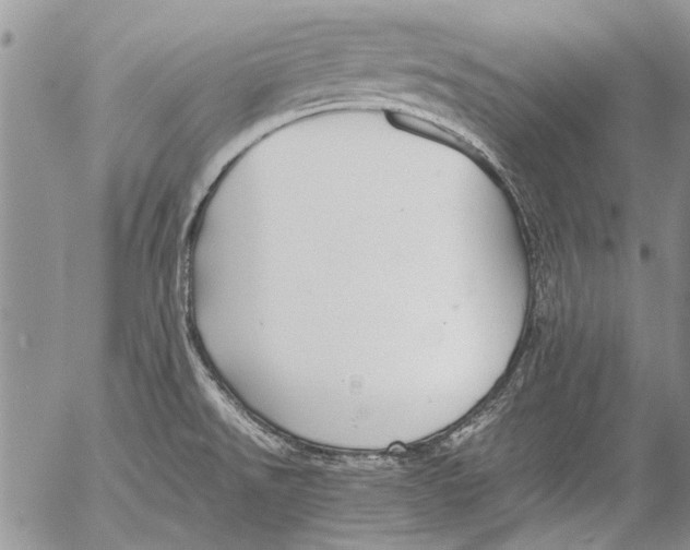 X0000053051526200508081115