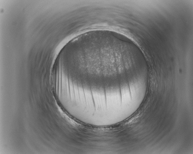 X0000053051527200508081115