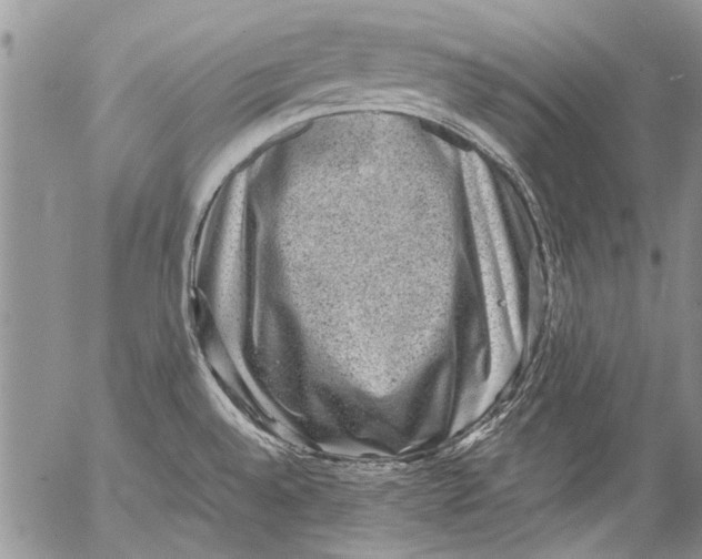 X0000053051528200508081116