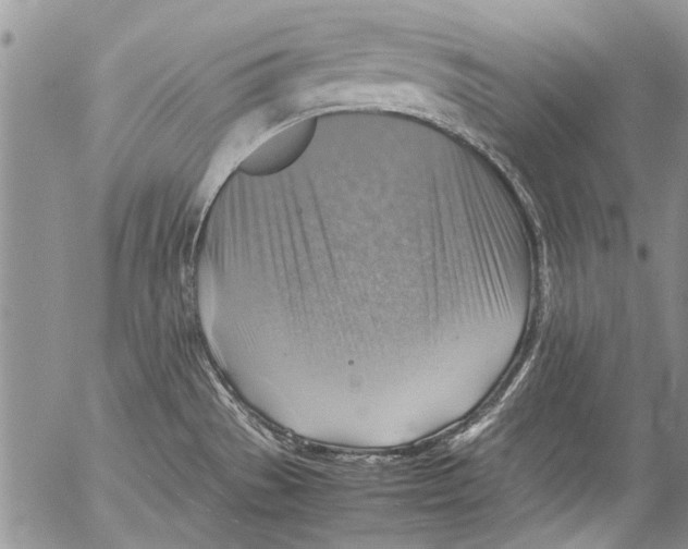 X0000053051529200508081116