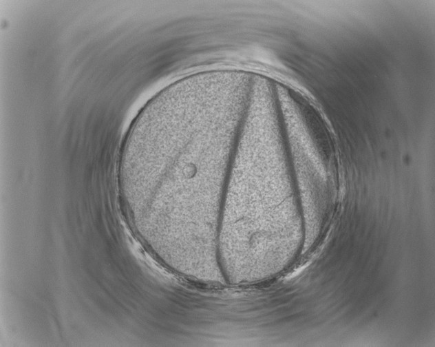 X0000053051530200508081116