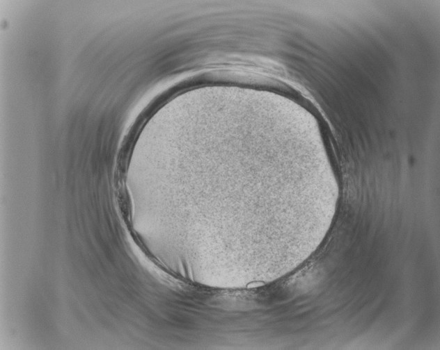 X0000053051531200508081116