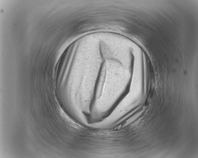 X0000053051532200508081116