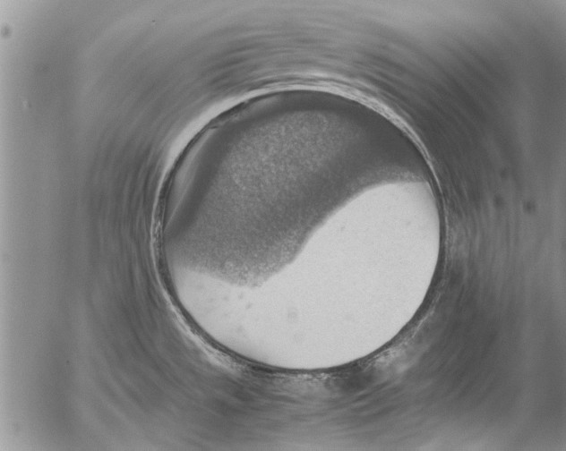 X0000053051533200508081116