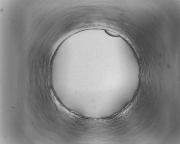 X0000053051534200508081116