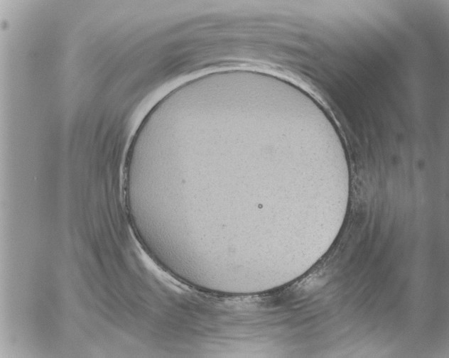 X0000053051535200508081116