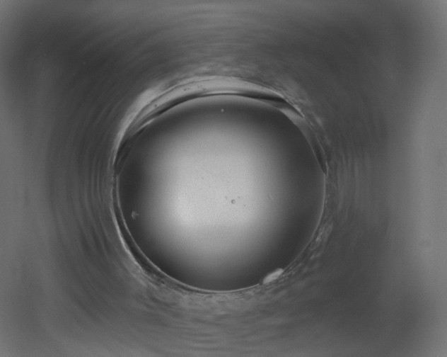 X0000053060003200507111204