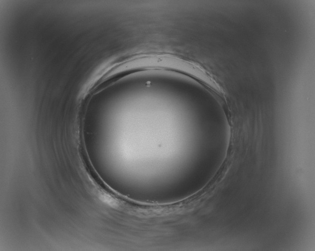 X0000053060005200507111204