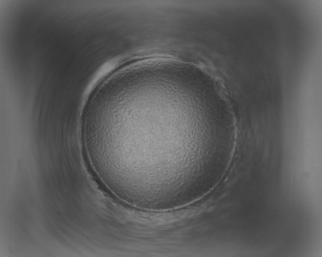 X0000053060006200507111204