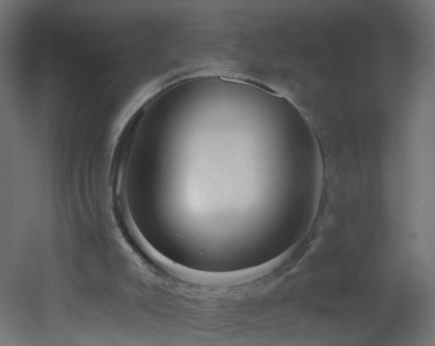 X0000053060007200507111204