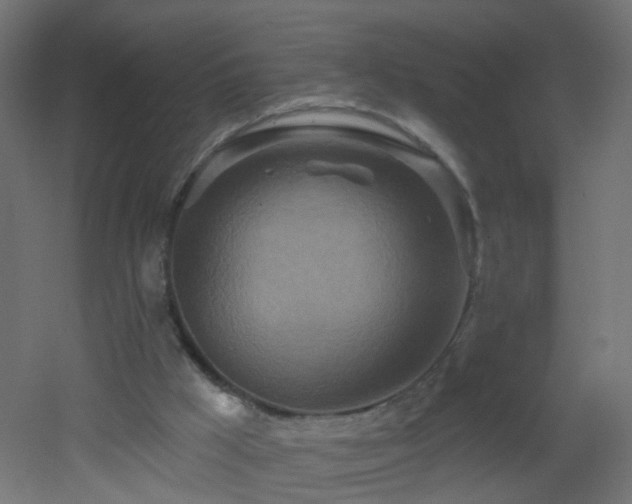 X0000053060009200507111204