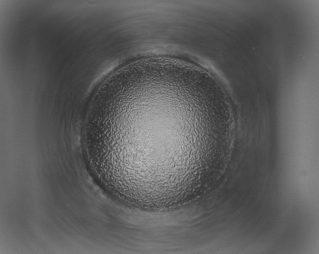X0000053060010200507111204
