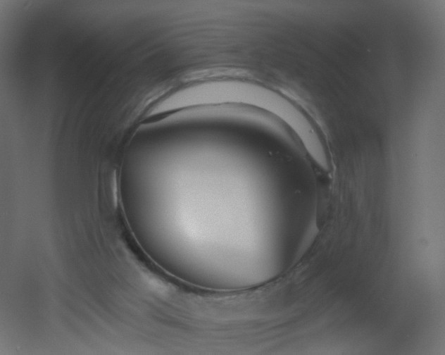 X0000053060013200507111204