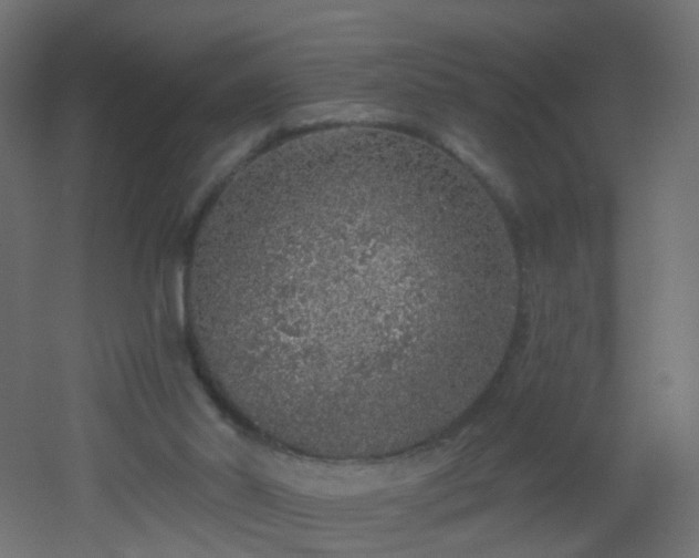 X0000053060014200507111204