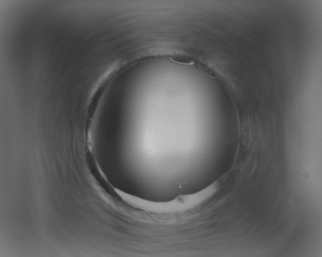 X0000053060015200507111204