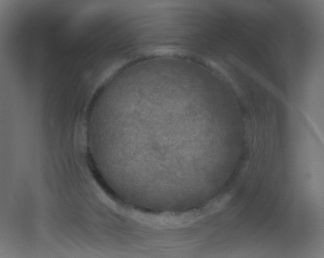 X0000053060016200507111204
