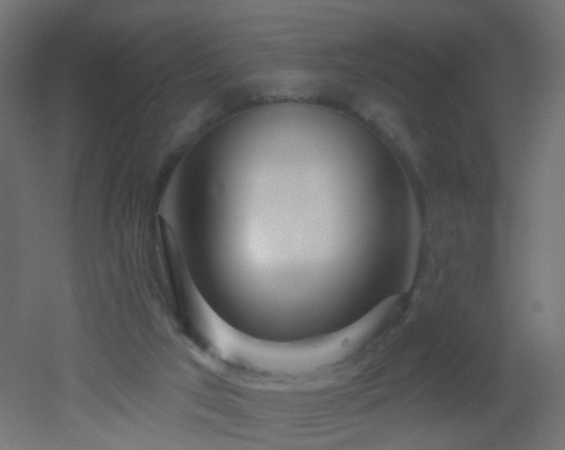 X0000053060017200507111204