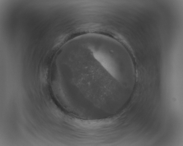 X0000053060018200507111204